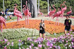 BIB: 
                            <button type="button" onclick="openModal(27793974)" class="btn btn-primary btn-sm float-right btn-popup" data-toggle="modal" data-target=".modal-high-quality">
                        <i class="fas fa-shopping-cart"></i> Add to Cart
                    </button>
                                            <button type="button" onclick="isThisMe(27793974, true)" class="btn btn-success btn-sm float-right btn-popup btn-isme hidden" data-toggle="tooltip" data-placement="bottom" title="นี่คือรูปของคุณใช่ไหม คลิกที่นี่เพื่อเอาเข้าอัลบั้ม">
                        <i class="fas fa-plus"></i> Add to album
                    </button>
                    <button type="button" onclick="isThisMe(27793974, false)" class="btn btn-warning btn-sm float-right btn-popup btn-isnotme hidden">
                        <i class="fas fa-ban"></i> Remove from album
                    </button>